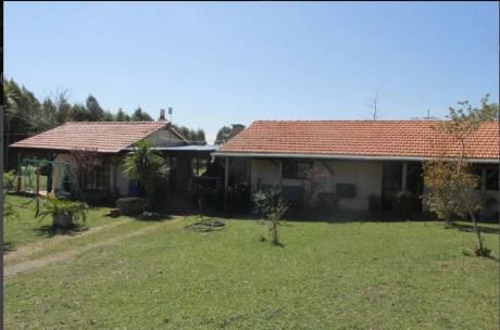 Venta De Campo, Canelones En Migues.