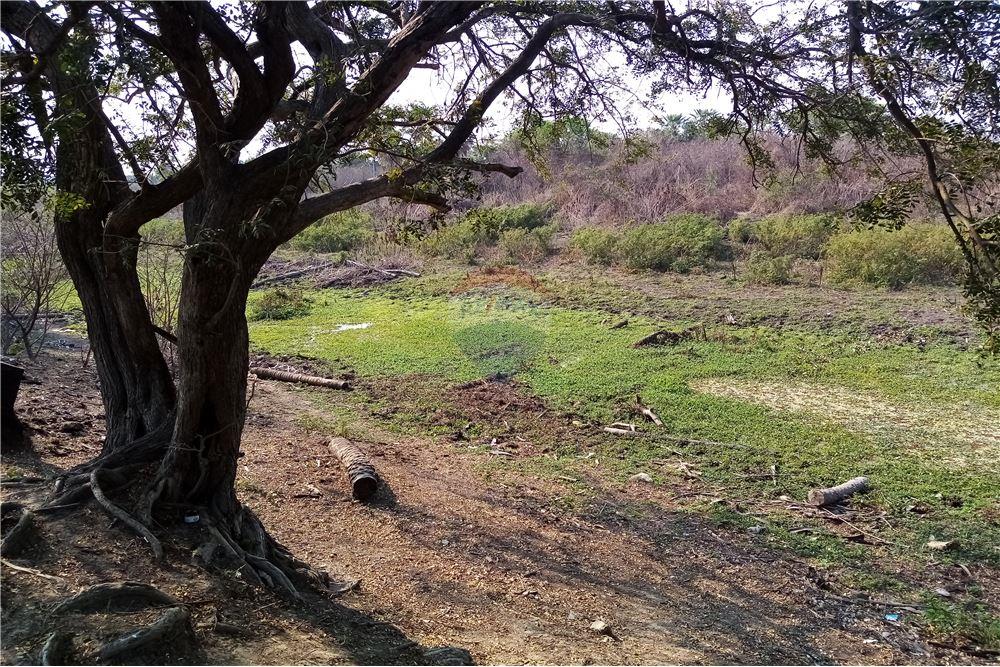 Estancia/Campo - Venta - Villa Hayes, Paraguay — foto 3