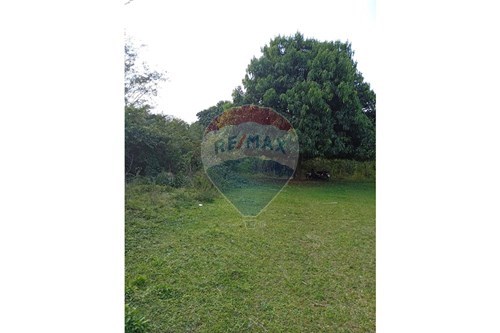 TERRENO EN VENTA, LA COLMENA — foto 3