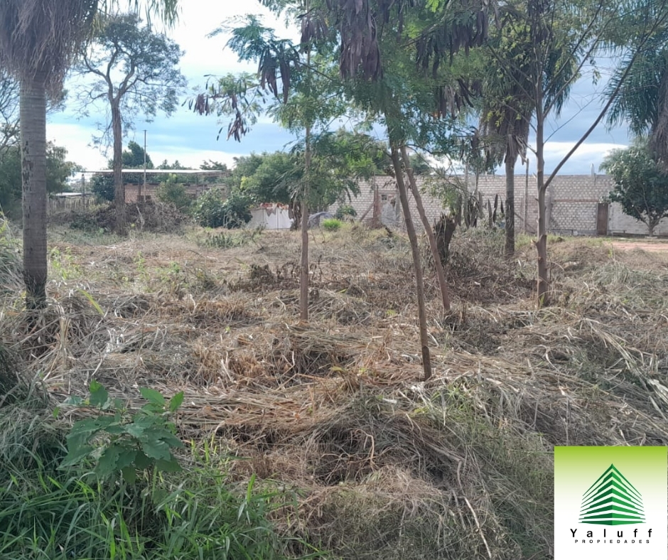 TERRENO 377 M2 EN EN CAAGUAZÚ A 1000 METROS DE LA RUTA PY-02 — foto 2
