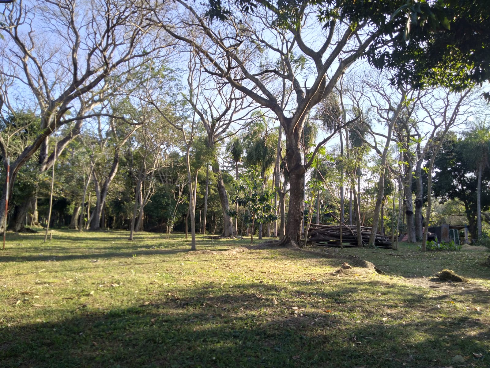 Propiedad Especial Para Casa Quinta - Ruta Paraguari - Pirayu — foto 3