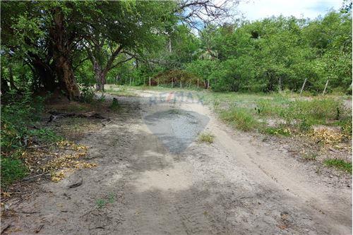 ESTANCIA VENTA - VILLA HAYES, CHACO PARAGUAYO — foto 2