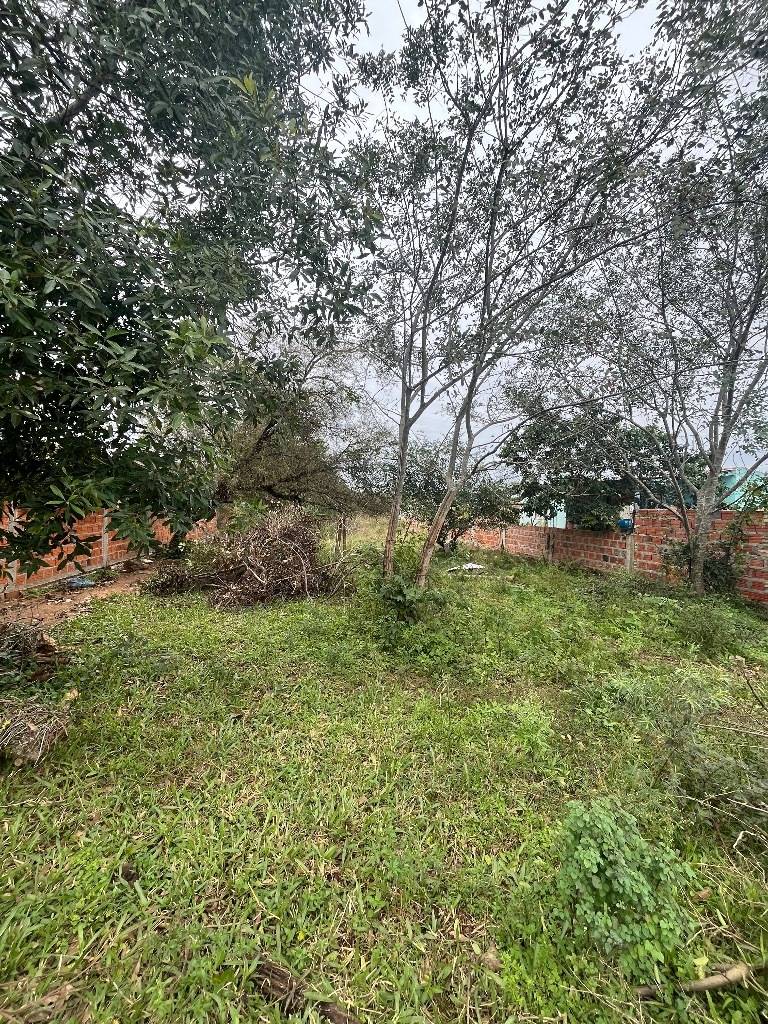 VENDO TERRENO EN LUQUE EN COSTA SOSA — foto 2