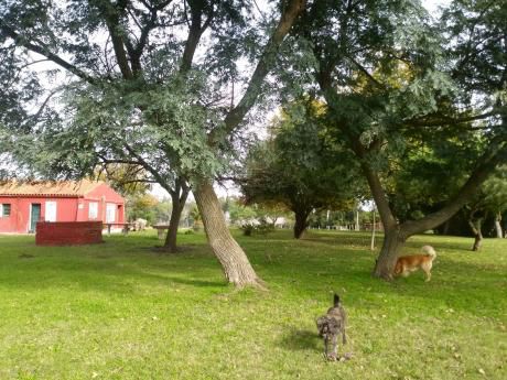 Hermosa Chacra De 2,2 Hás. En Venta En Las Brujas
