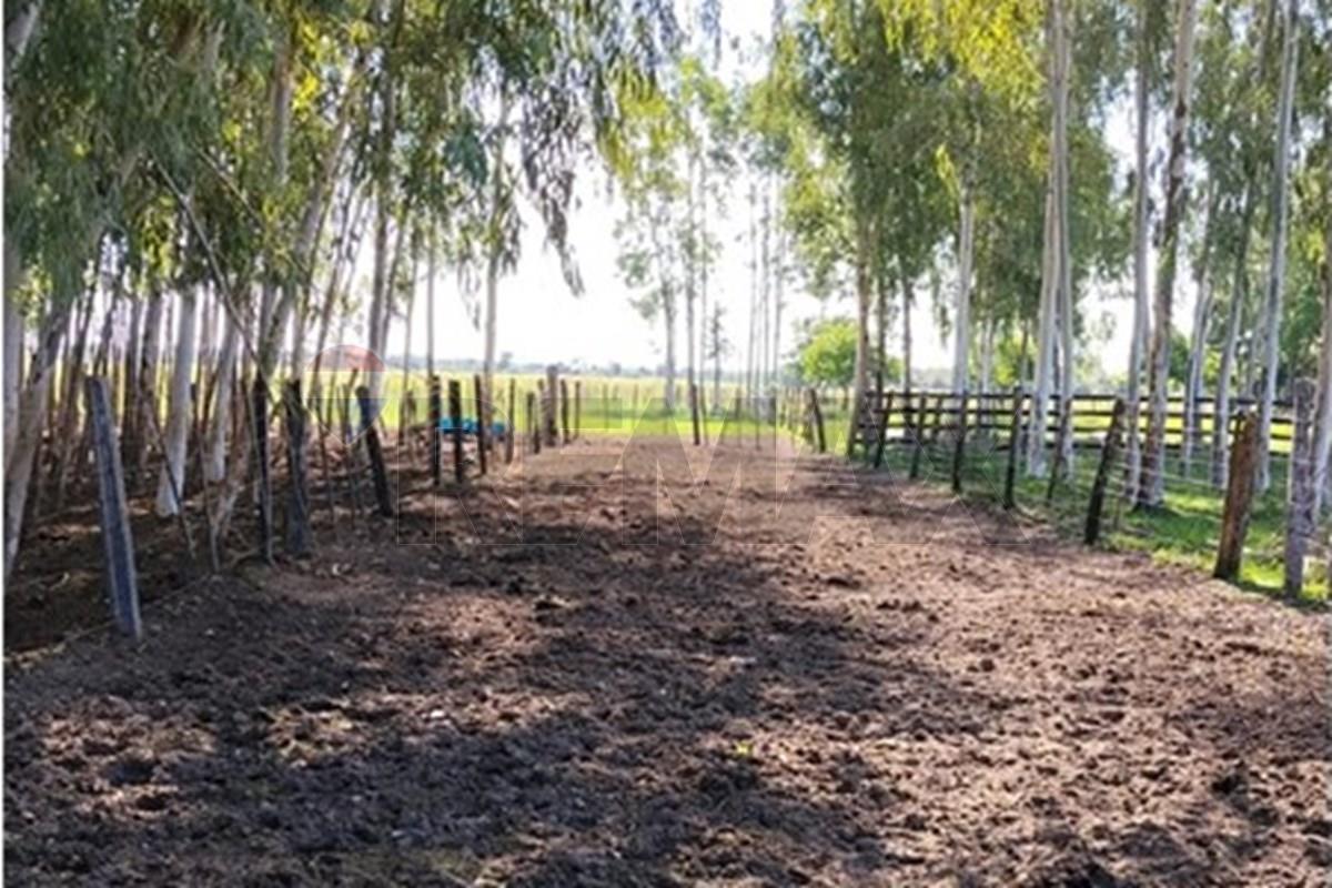 Terreno en venta en Arroyos y Esteros — foto 3