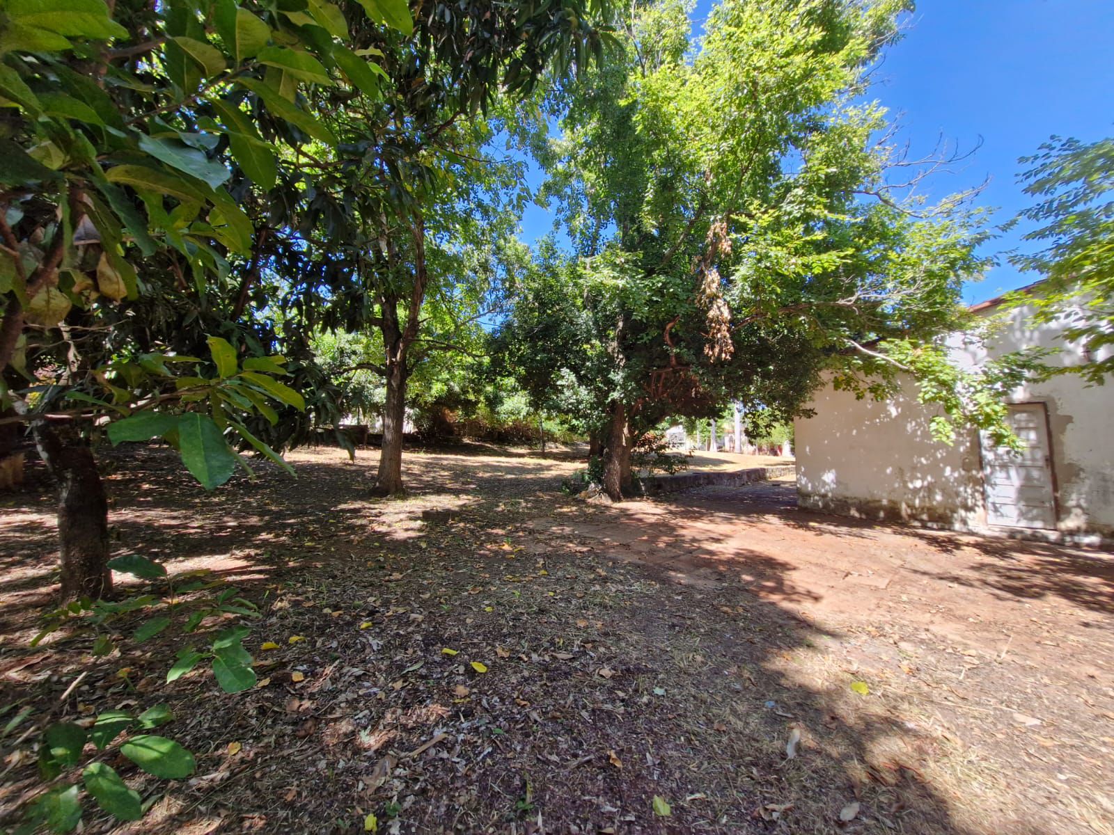 VENDO AMPLIO TERRENO EN PIRIBEBUY — foto 3