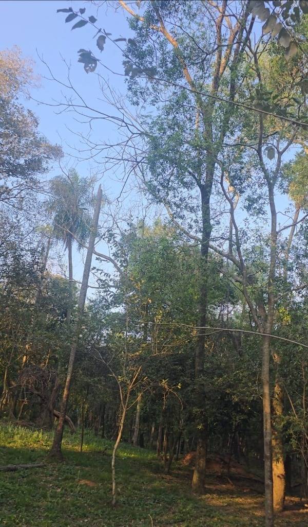 VENDO TERRENO EN SAN BERNARDINO — foto 2