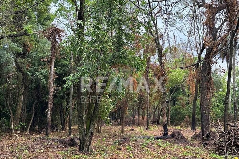"Oportunidad Perfecta: Terreno en San Bernardino" — foto 2