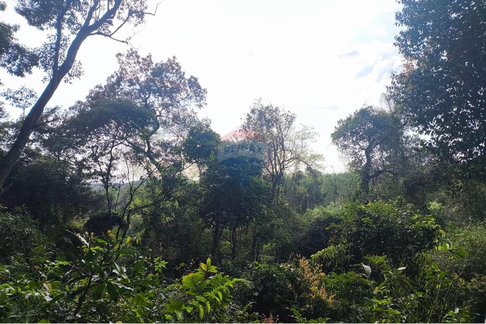Terreno en Eusebio Ayala: ¡Tu inversión ideal! — foto 3