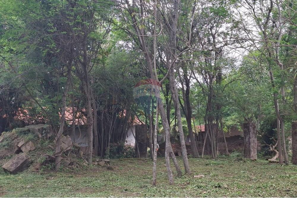 ¡Terreno en San Bernardino: Ensueños! — foto 3