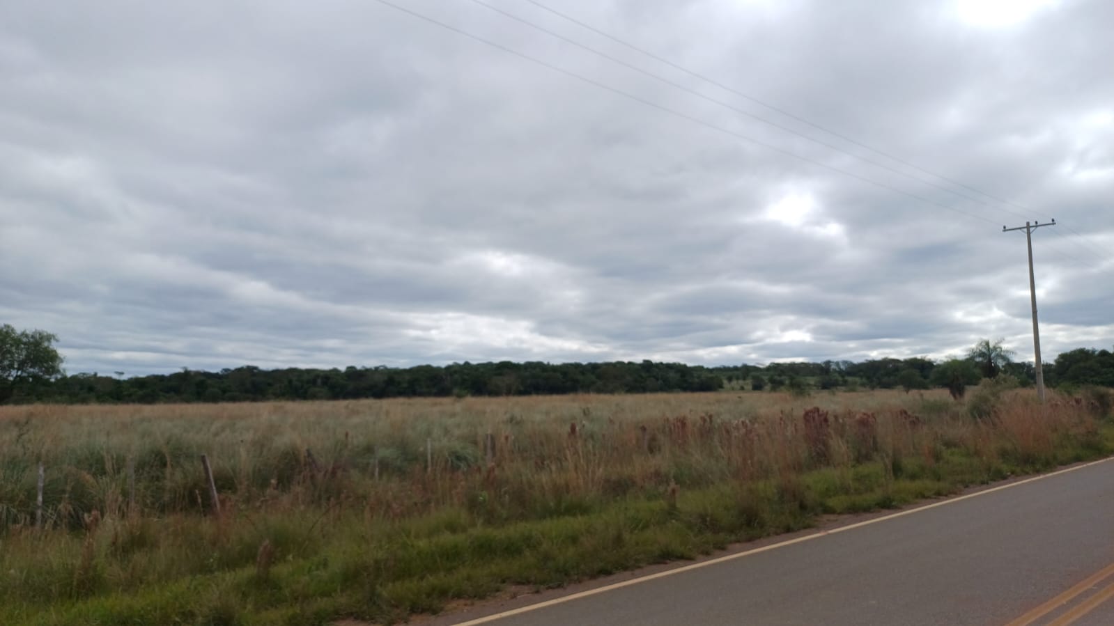 Vendo  31 Hectáreas Sobre Ruta , Ciuad De Eusebio Ayala Cordilera — foto 2