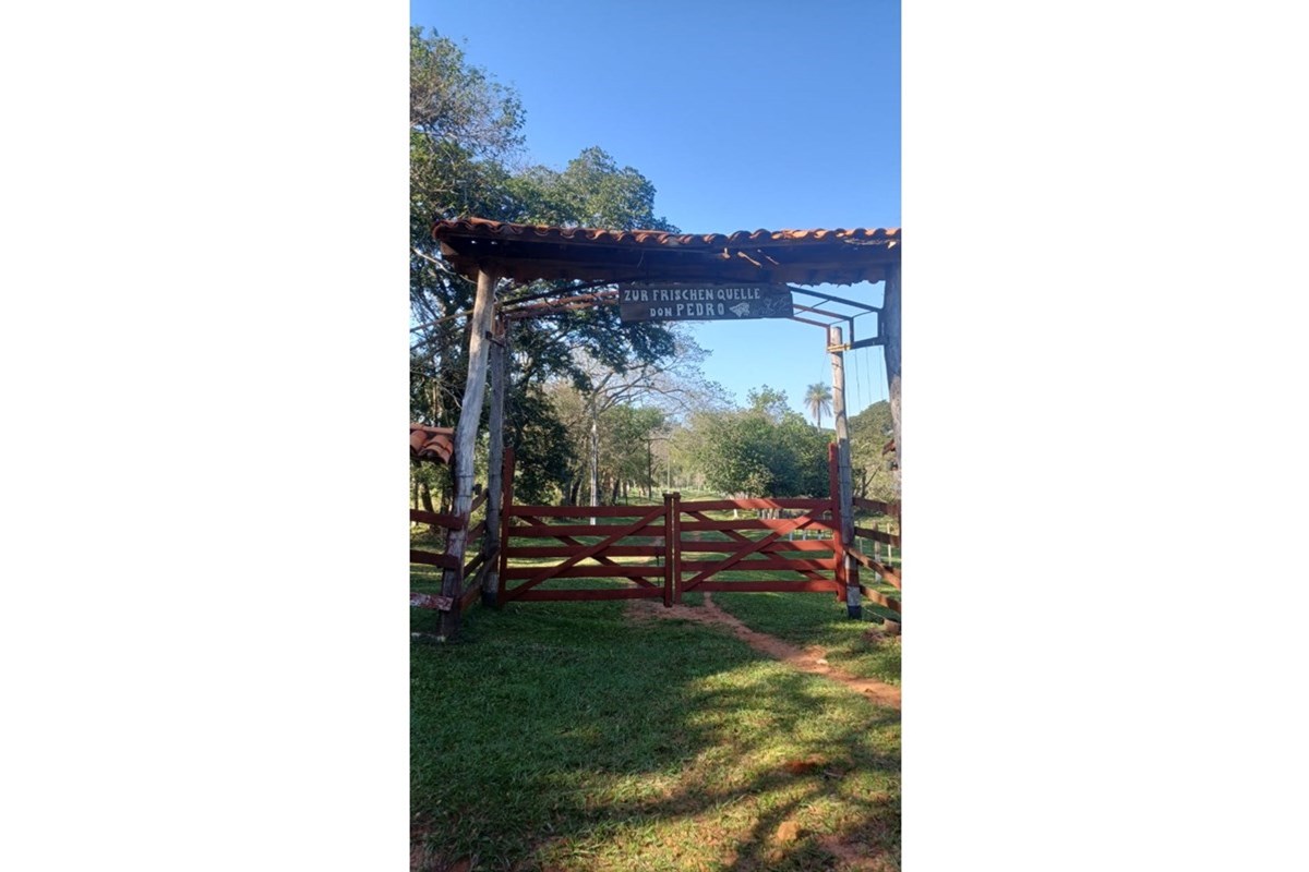 Finca Agrícola-Venta-calle caucupe, Caacupé, Cordillera — foto 2
