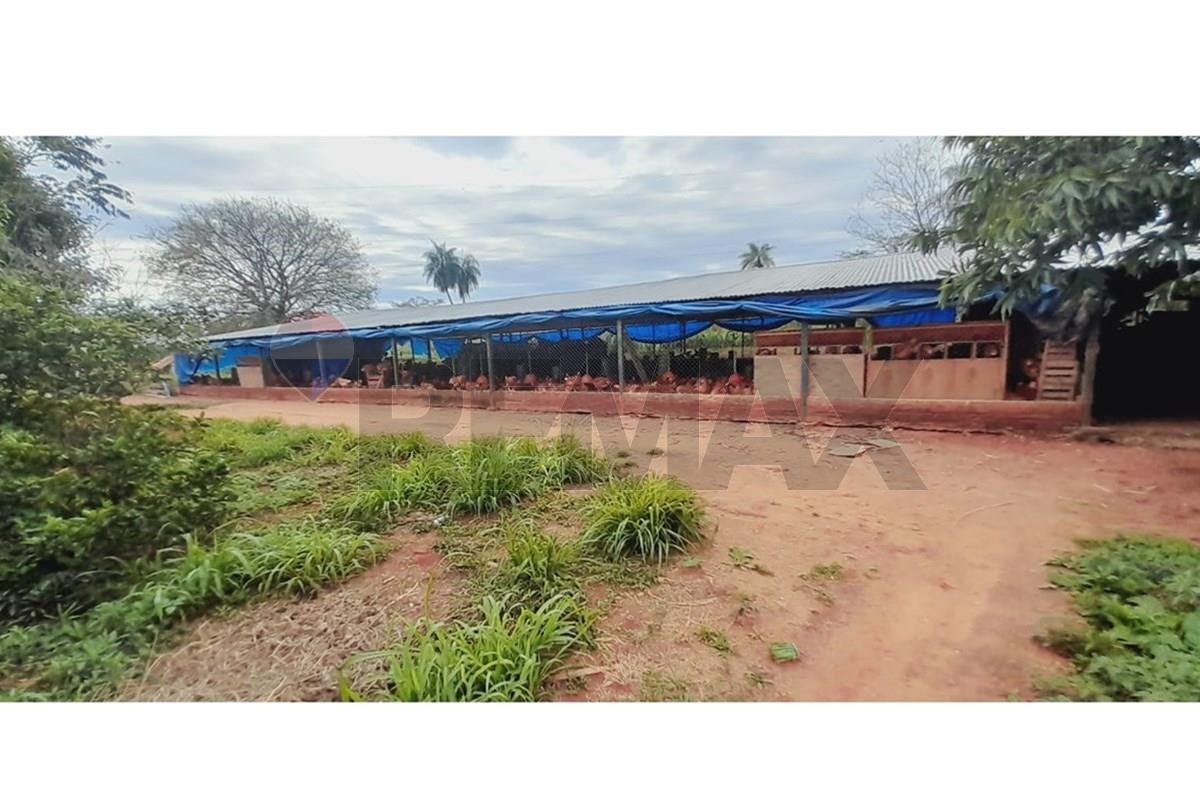 Livestock Farm - Venta - Pirayú, Paraguarí, Paraguay — foto 2