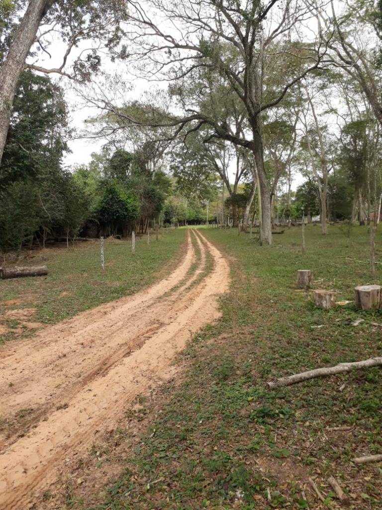 CAMPO AGRICOLA GANADERA EN SAN PEDRO — foto 2
