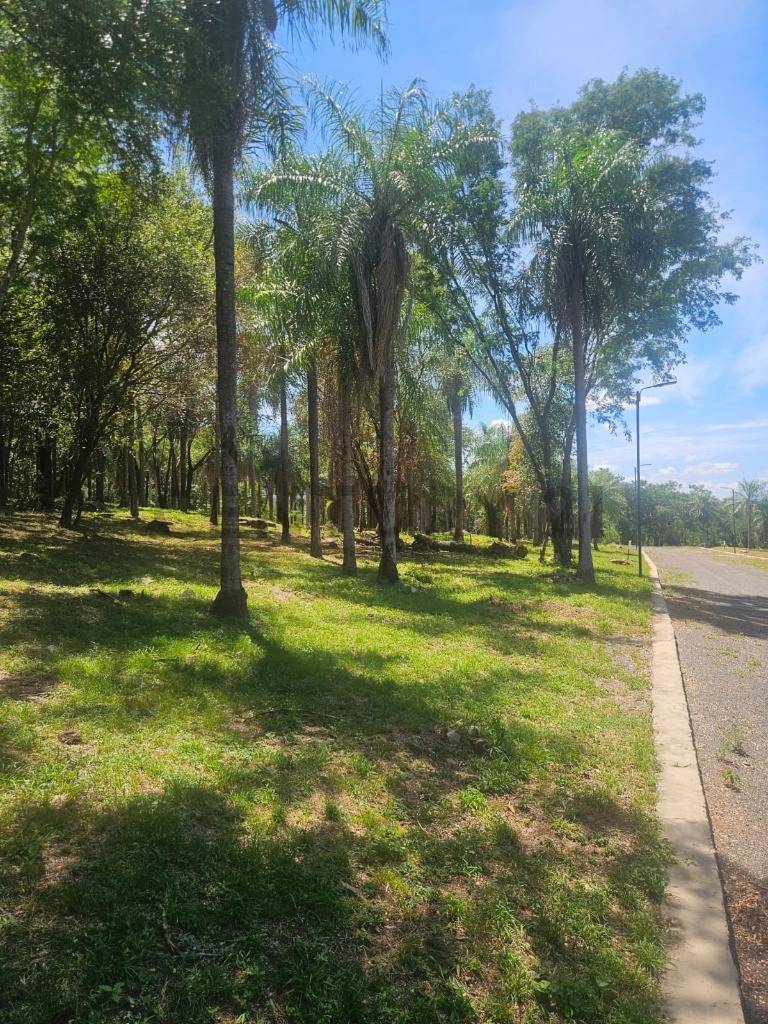 TERRENOS EN CONDOMINIO!"LA SIERRA " San Bernardino — foto 2