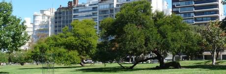 Con Buena Renta! A Pasos Del Parque