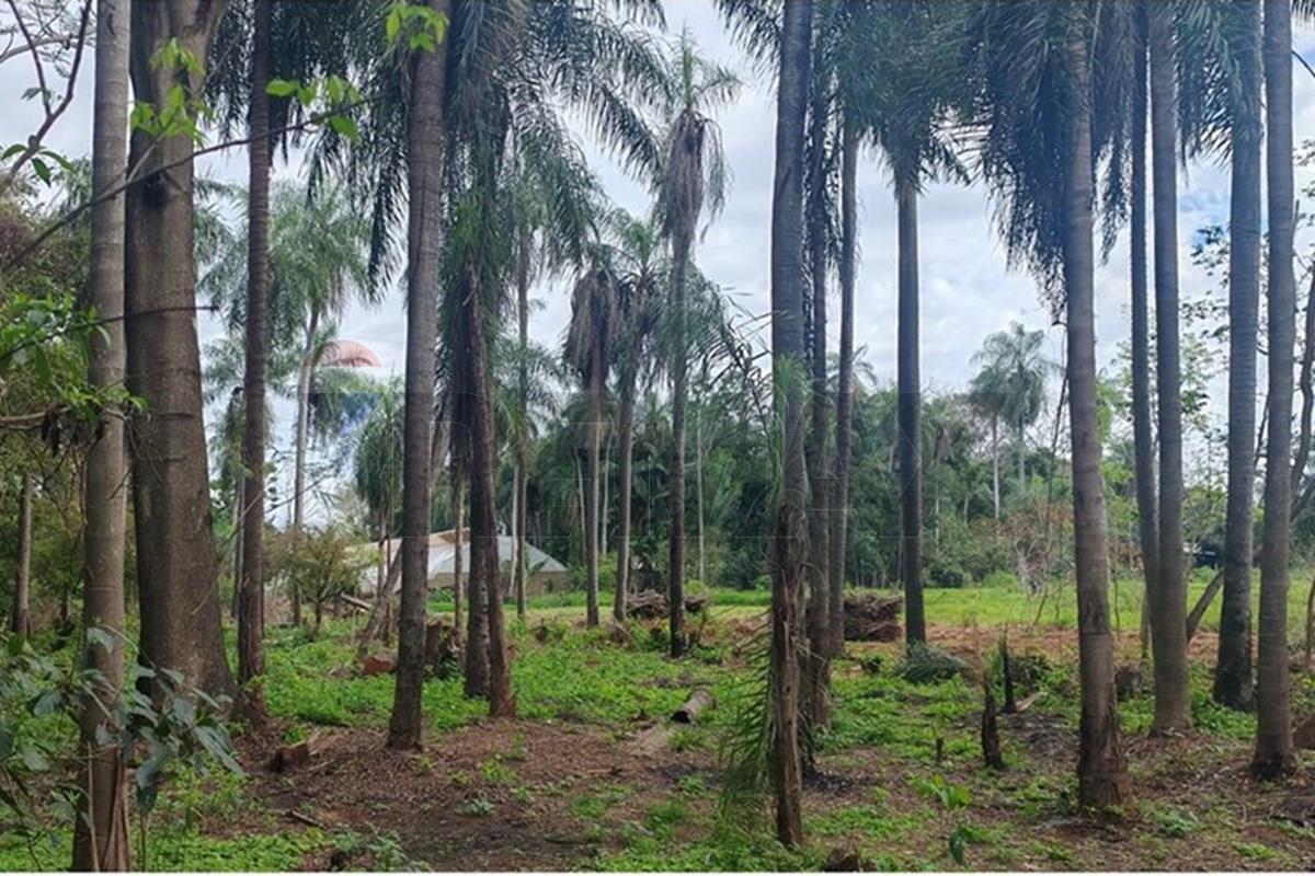 Terreno - Venta - Caacupé, Cordillera, Paraguay — foto 3