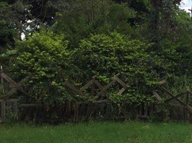 Vendo Terreno En Oferta De 1917m2