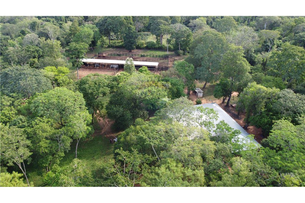 Vendo Estancia con mejoras para uso Ganadero — foto 3