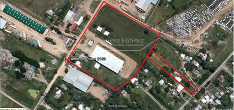 Venta Terrenos Y Deposito En Paso De La Arena