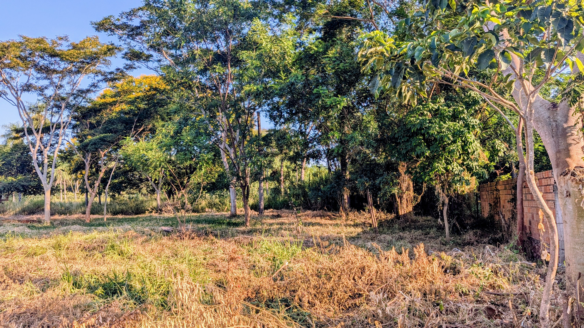 Terreno en venta en Limpio — foto 2