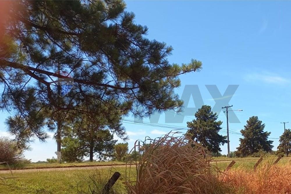 Terreno Minga Guazú Alto Paraná — foto 2