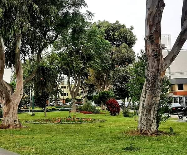Casa en venta en Santiago de Surco