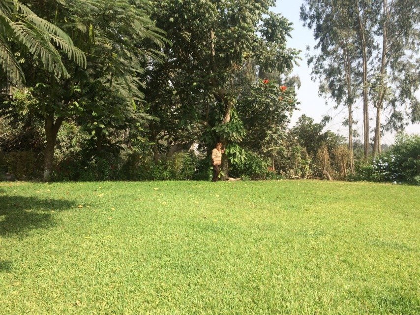 Casa en alquiler en Santiago de Surco