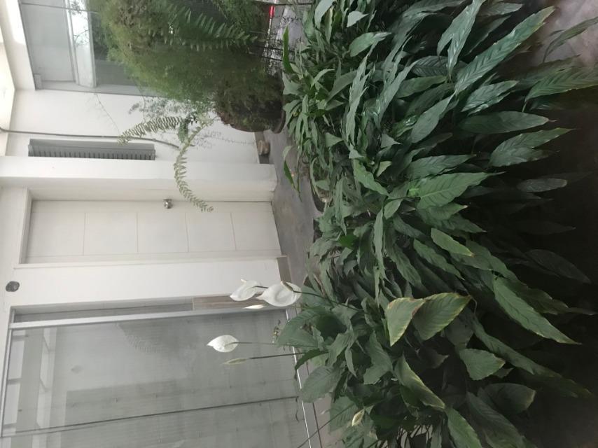 Imagen 7 de Apartamento