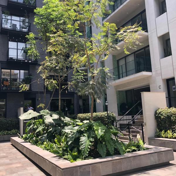 Departamento en alquiler en Miraflores