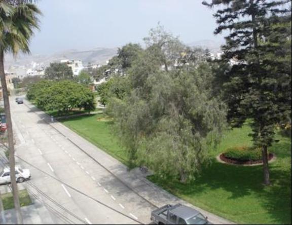 Departamento en alquiler en Santiago de Surco