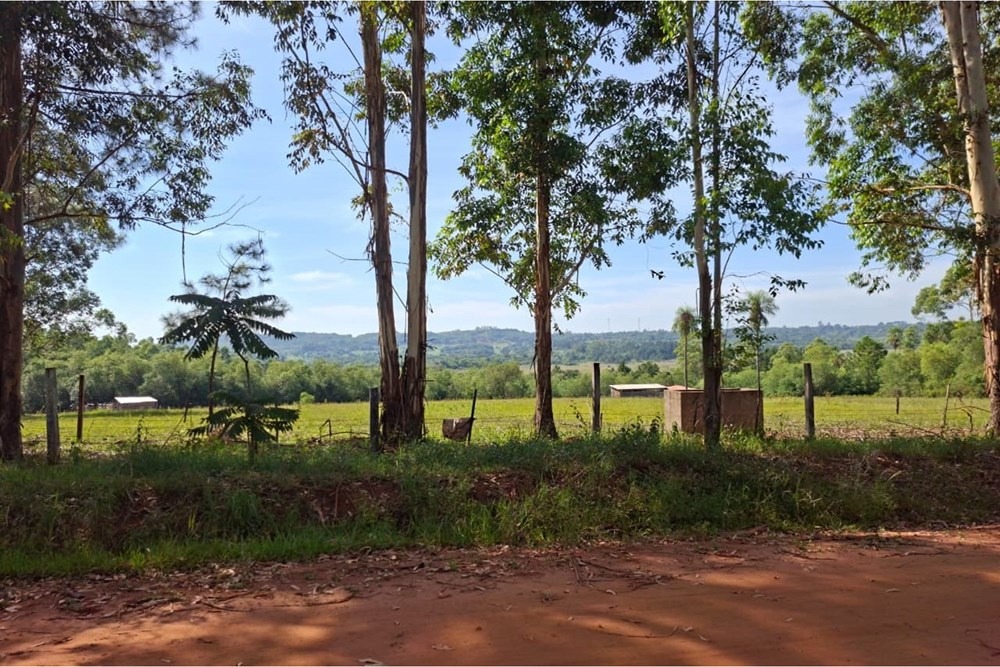 Venta de  CAMPO Agrícola en TAVARANGUE, JESÚS, ITAPÚA — foto 2