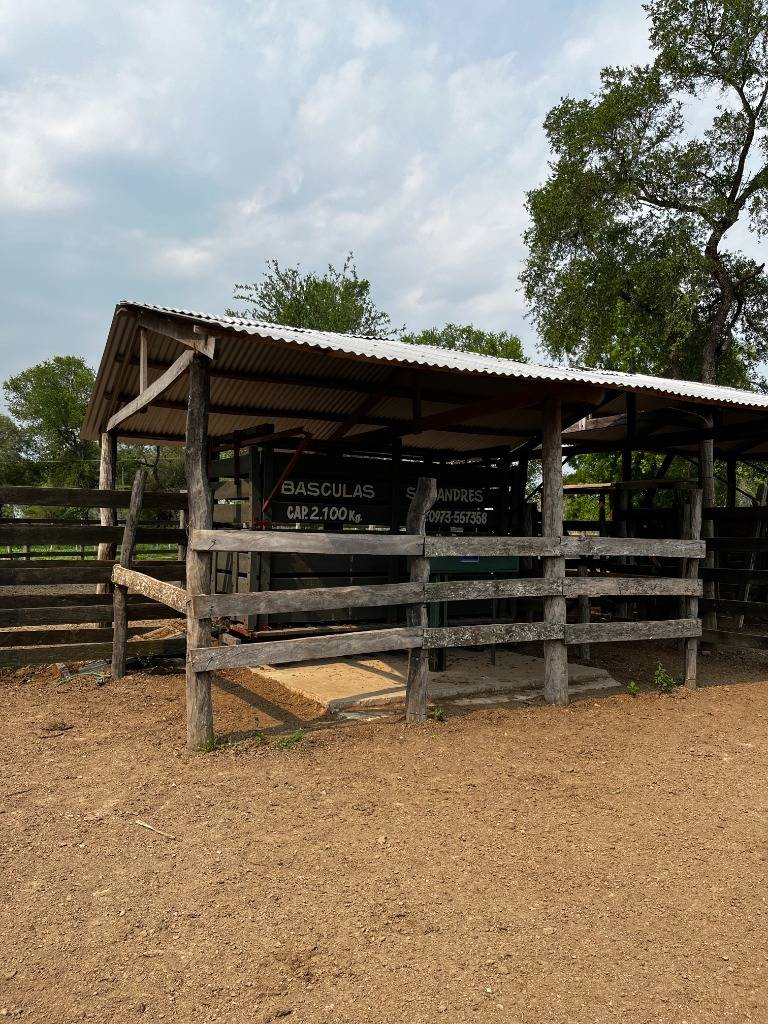 EN VENTA ESTANCIA EN CORONEL BURGUEZ CHACO — foto 2