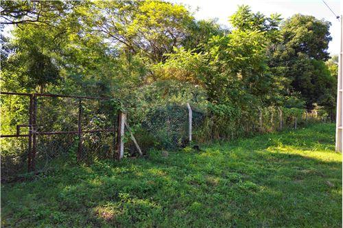 Terreno 4.5 Hectareas - San Bernardino Zona Alta — foto 3