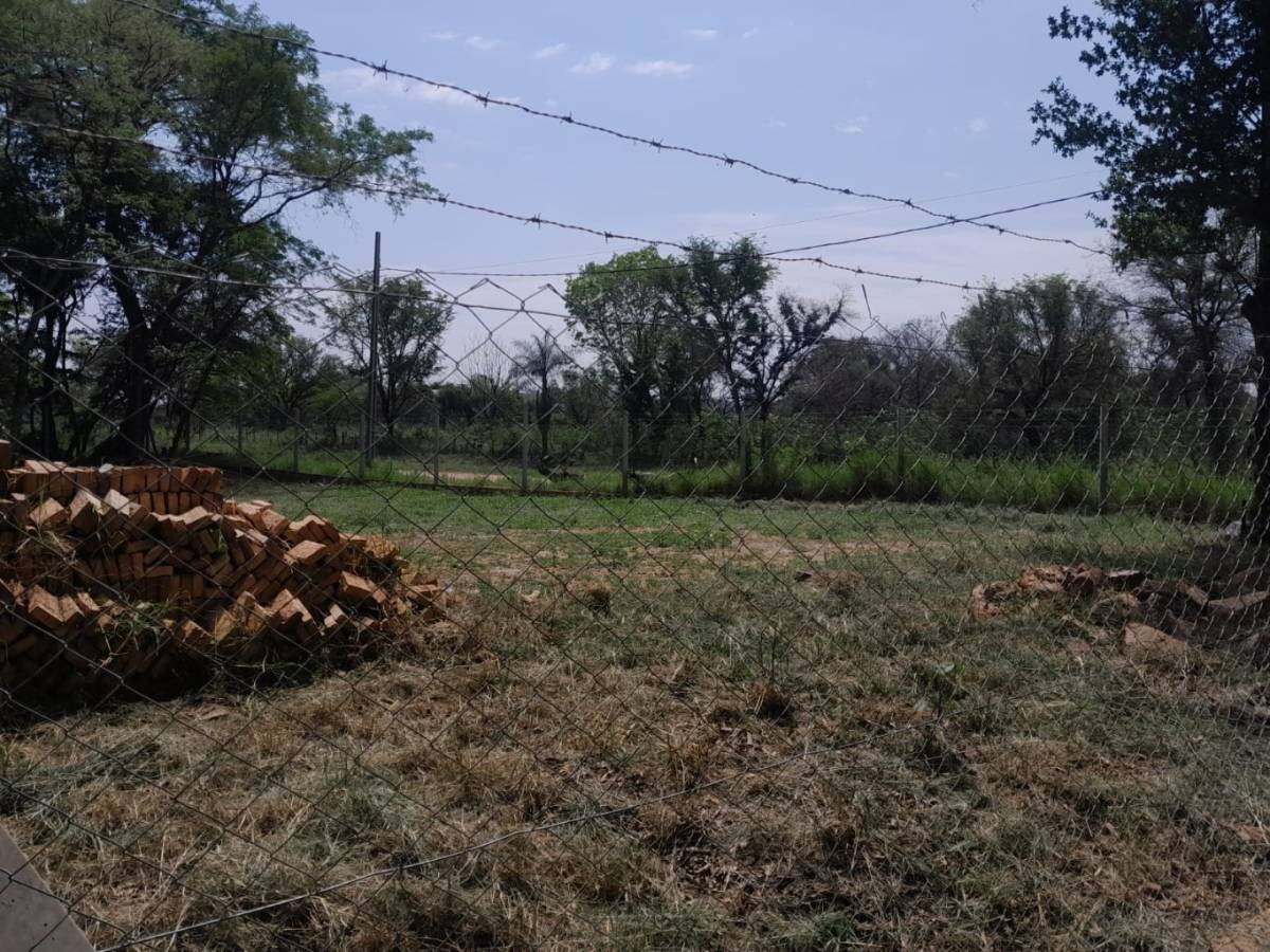 Vendo sobre Ciervo Cua San Bernardino — foto 2