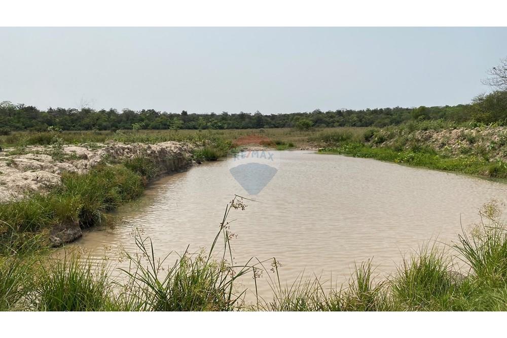 Estancia/campo - Venta - Simón Bolívar, Paraguay — foto 2