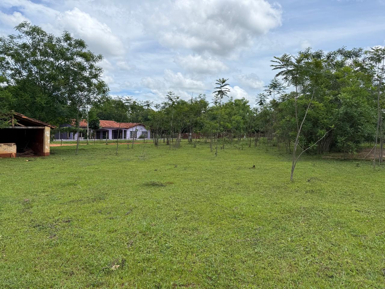 BAJÓ DE PRECIO !!!  Vendo Propiedad En Carapeguá, 2.5 Ha. — foto 3