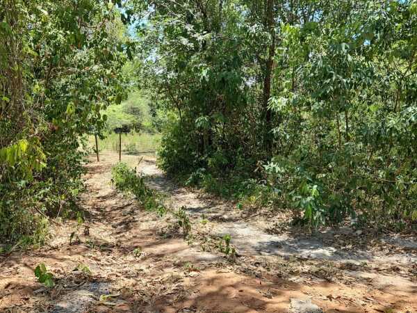Terreno plano en Altos, frente a granja Don Papalo — foto 3