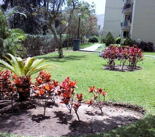 Imagen 3 de Apartamento