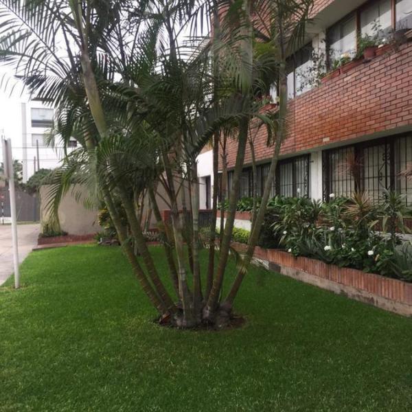 Departamento en alquiler en Santiago de Surco