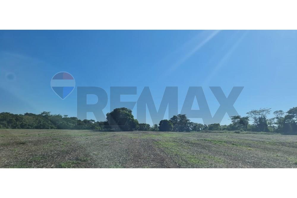 En Venta - Terreno -Itacurubí del Rosario, San Pedro, Paraguay — foto 2