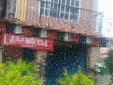 Departamento Con Tienda Comercial