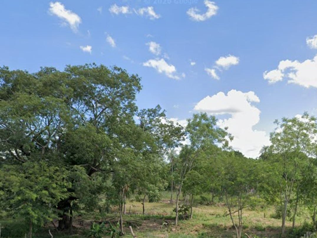 VENDO PROPIEDAD RURAL DE 6 HECTÁREAS EN ESCOBAR — foto 3