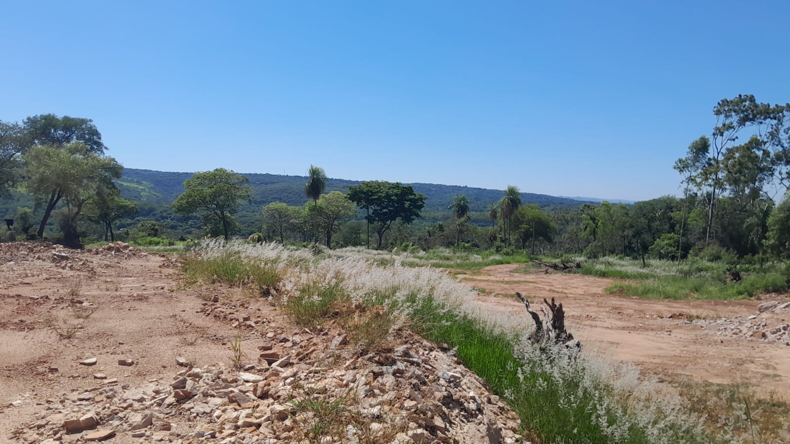 TERRENO ÚNICO EN SAN BERNARDINO ???? — foto 2