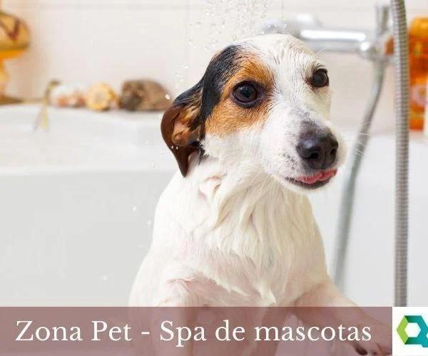 Imagen 6 de Apartamento