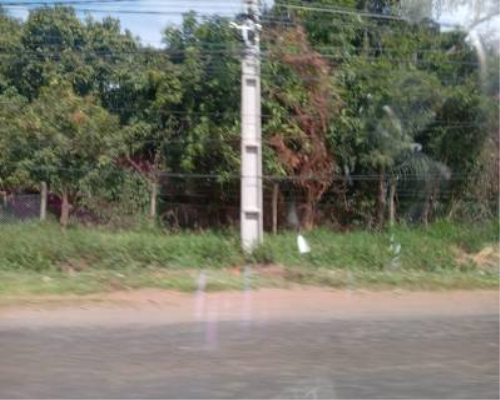 VENDO  SOBRE AUTOPISTA ÑU GUAZU-LUQUE — foto 2