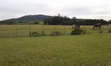 Chacra A La Venta En Punta Negra
