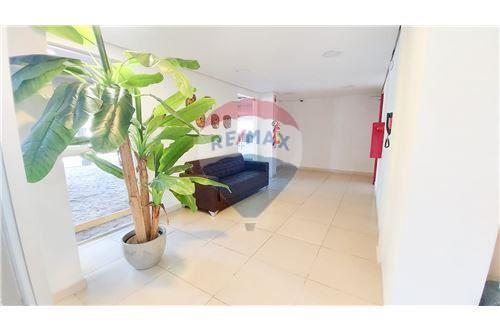 ALQUILO DEPARTAMENTO AMOBLADO DE 2 HABITACIONES — foto 3