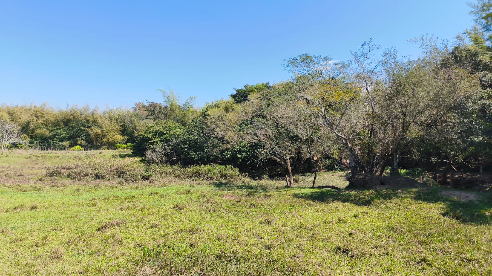 VENDO 70 HECTAREAS EN PARAGUARI — foto 3
