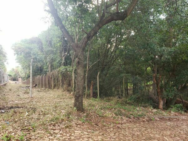 TERRENO EN VENTA YVY ANGUY PRIMERA — foto 2